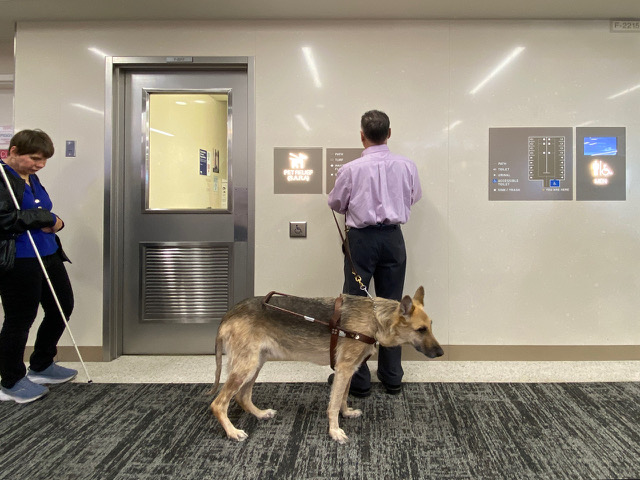 People using the MSP Tactile map